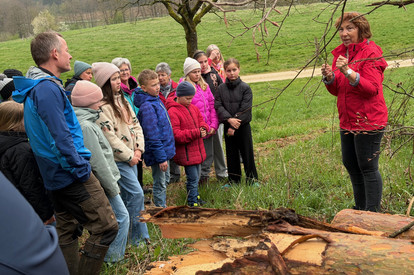 Kräuterwanderung in Kühnhofen