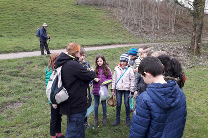 Wildkräuterführung mit Veronika Wähnert