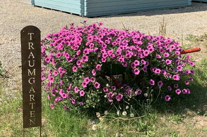 Monatstreffen 10 am 24. Juli 19 in Bartholomä-Thema Kräuter und essbare Blüten