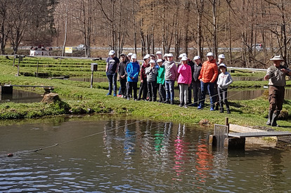 Forellenzucht Wispertal am 30.03.2019